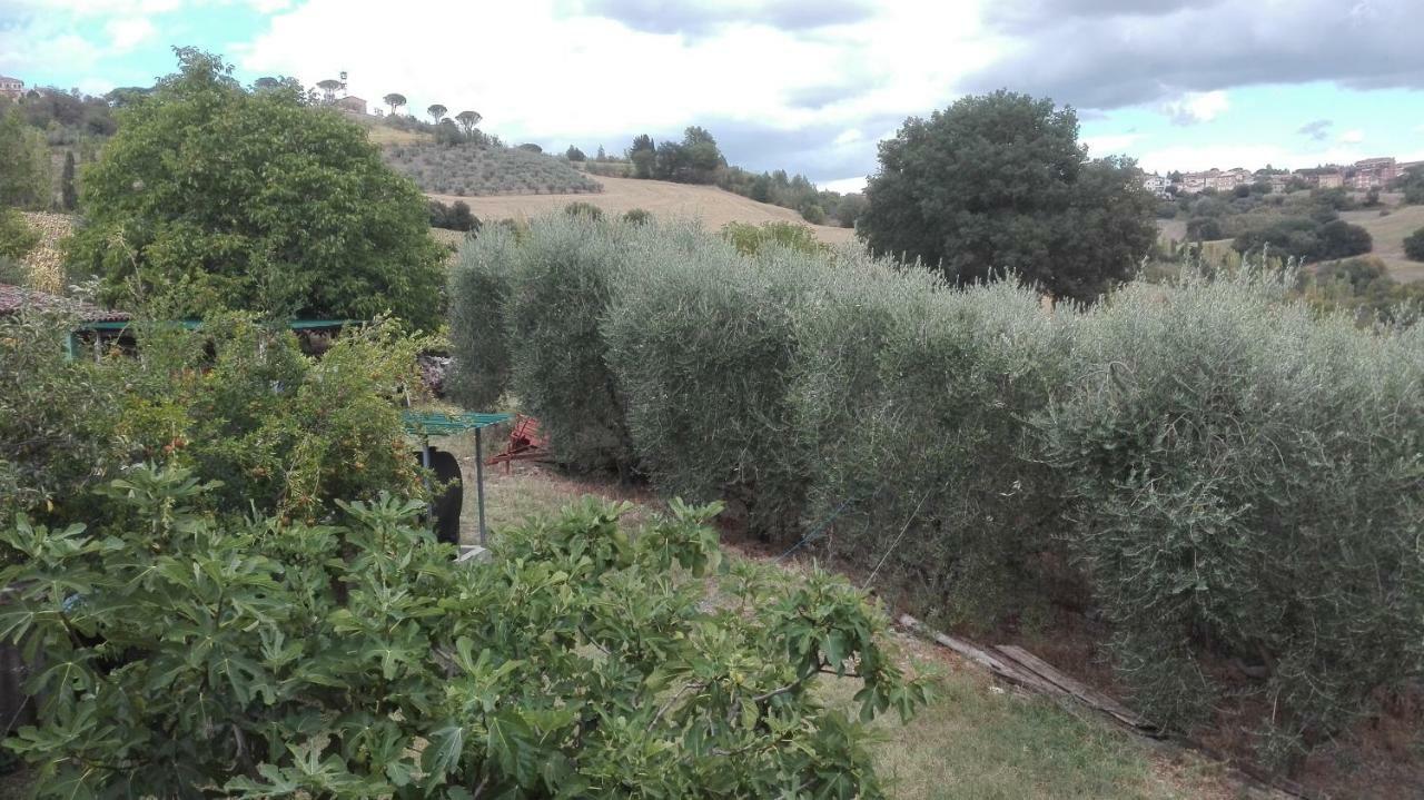 Agriturismo Cerquaglia Vila Todi Exterior foto